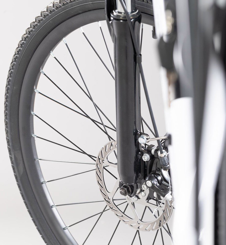 EMG Queen 28P 28” - 80Km - immagine 5