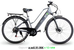 EMG Queen 28P 28” Grey- 80Km
