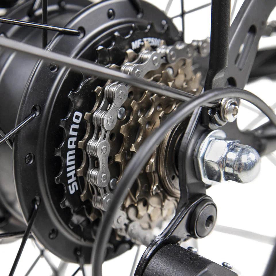 DYU | C6 20" - 60km - immagine 7